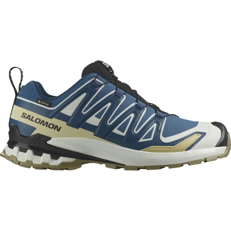 Salomon XA Pro 3D V9 GTX, trailsko, herre, blå