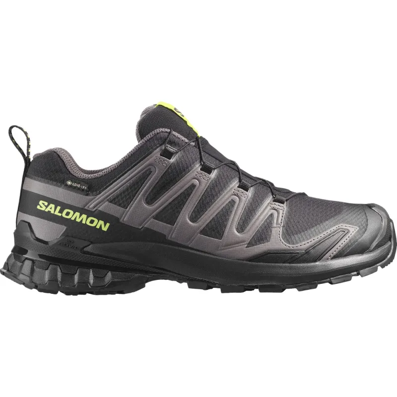 Salomon XA PRO 3D V9 GTX, trailsko, herre, sort/grøn