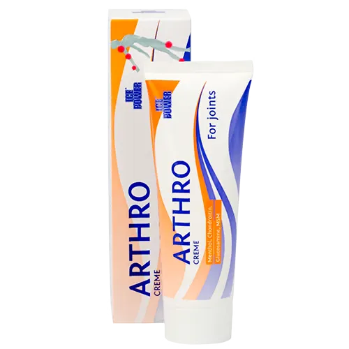 Ice Power Arthro 60 gr.