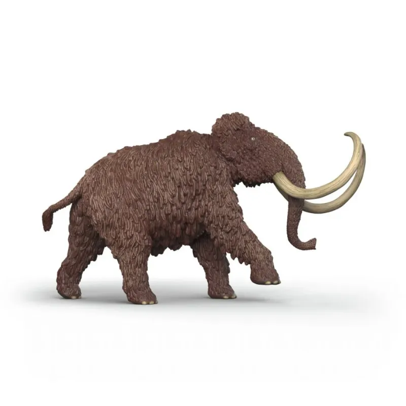 Mammut