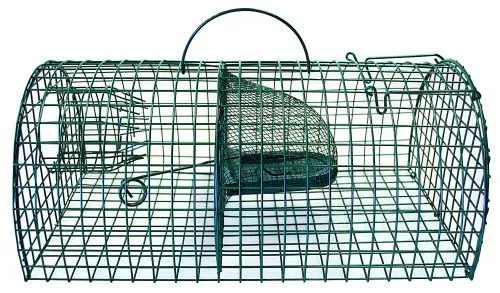 Rottefælde  Trådvæv Familie 40 cm
