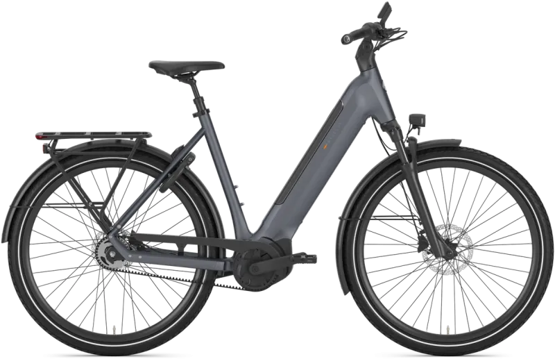 Gazelle Ultimate C5+ Dame 2026 - Meteor Grey Mat