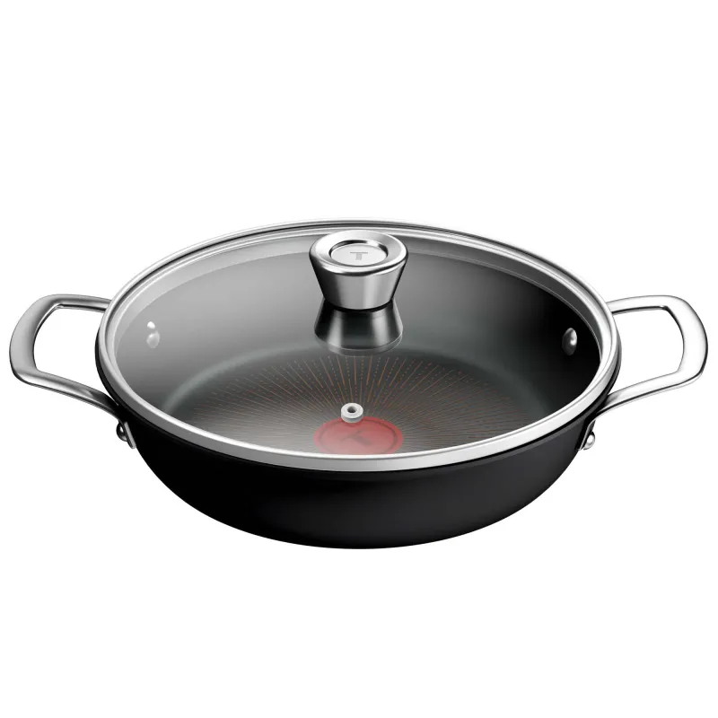 Tefal Experience All-in-One pande 24 cm